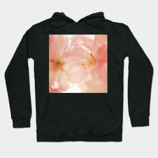 Hopeful Hoodie